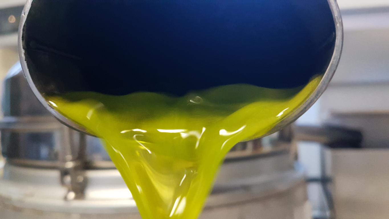 Moraiolo + Correggiolo olio extra vergine di oliva 2025 Lt.0,500